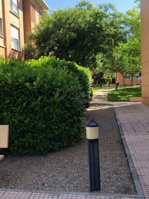 Apartment Vut El Parque -con Piscina En Verano - Aparcamiento En Calle Y Parking Gratis En El Centro Ciudad Real